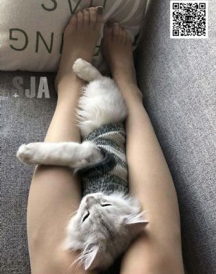 8vjcc子夜无人观看电影_蓝光电影在线看