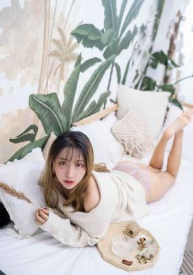 黑狐电视剧全集_BD英语免费观看韩国